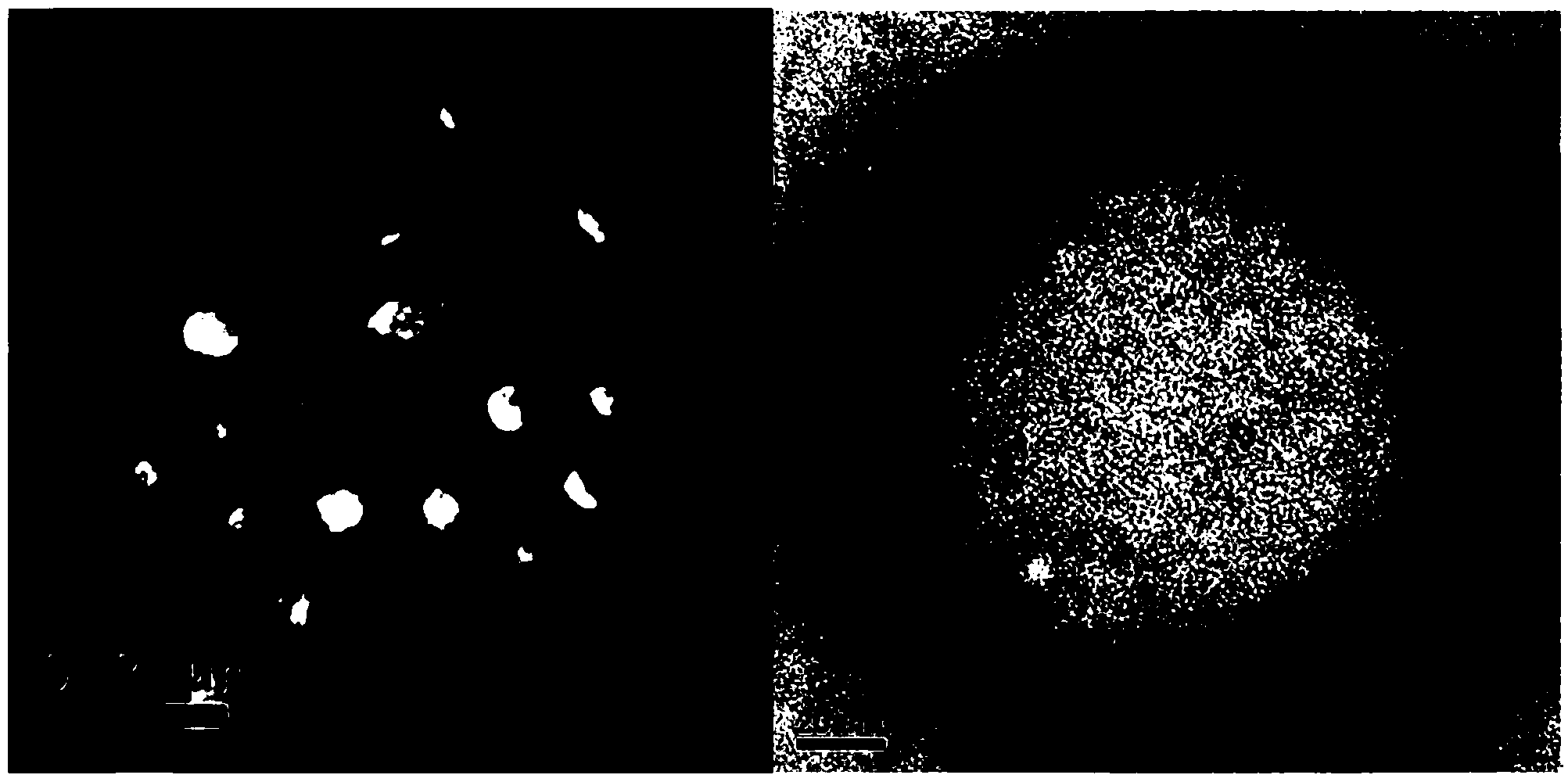 Lipidosome-polymer hybrid nano particle and preparation method and application thereof