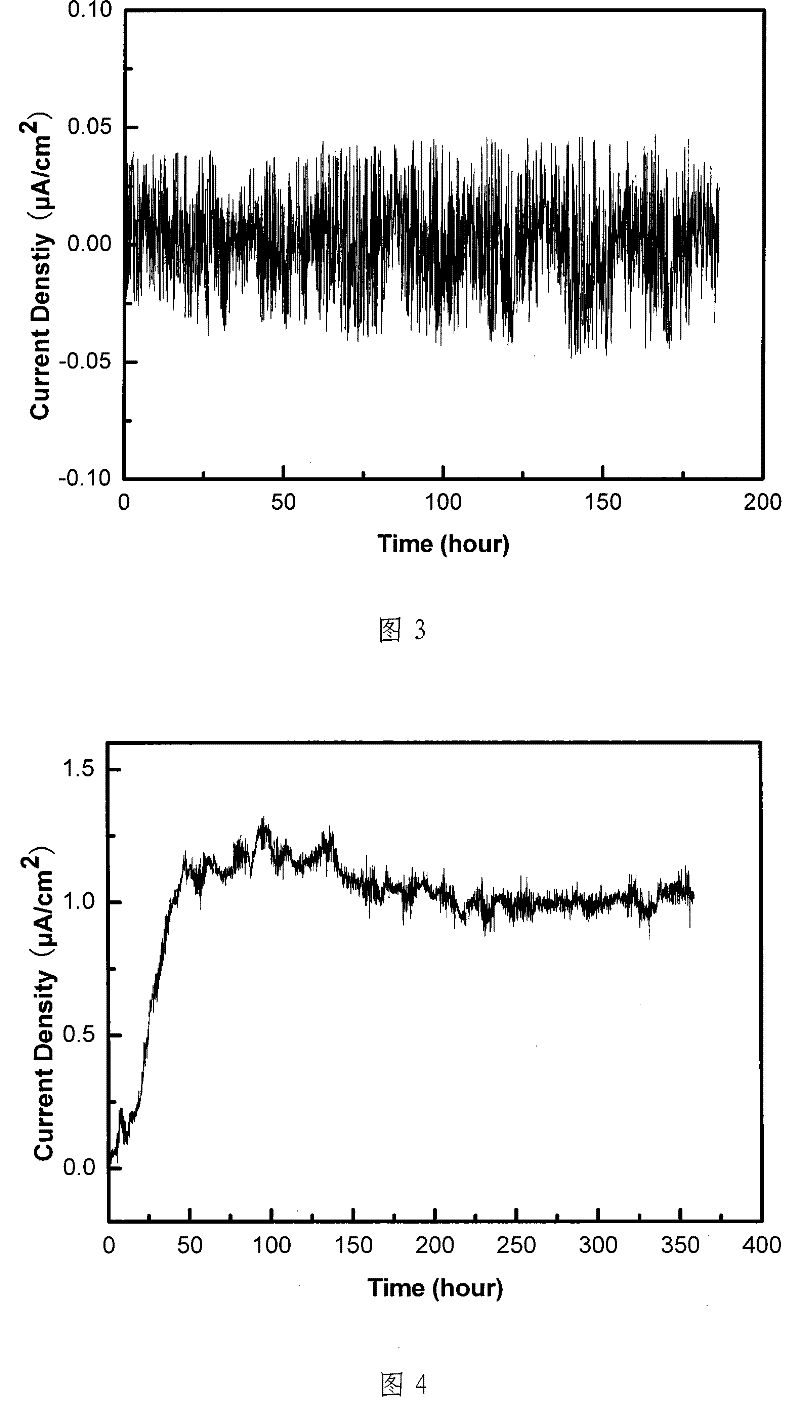 Apparatus and method for monitoring metal corrosion under organic coating