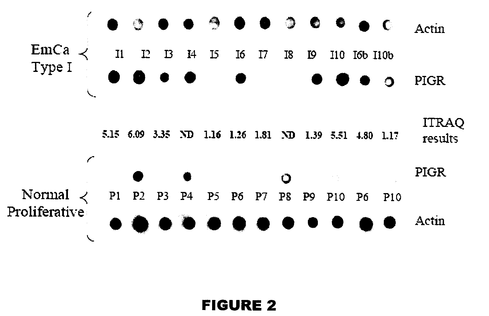 Endometrial biomarkers