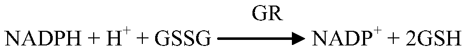 A glutathione reductase assay kit and its preparation method and application