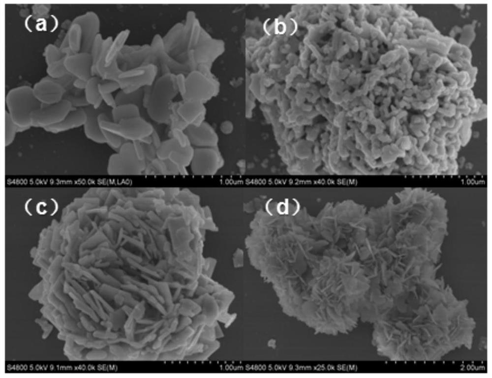 a bi  <sub>2</sub> o  <sub>2</sub> co  <sub>3</sub> /bi  <sub>2</sub> the w  <sub>6</sub> :yb  <sup>3+</sup> 、er  <sup>3+</sup> Photocatalyst and its preparation method and application