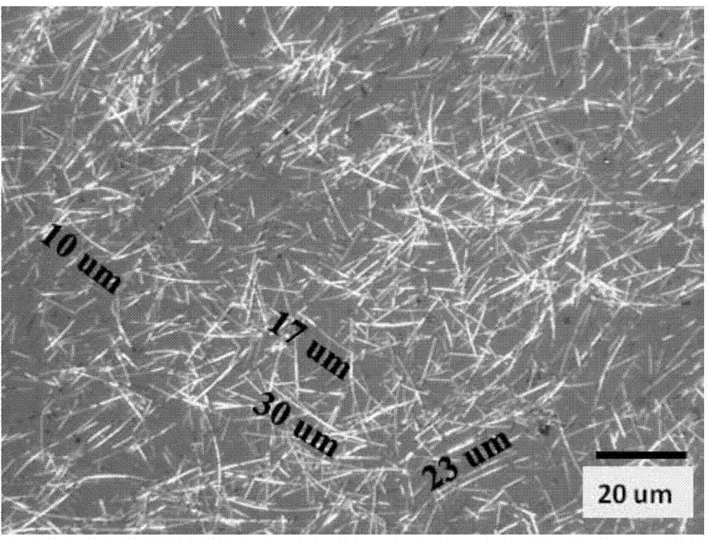 Preparation method of silver nanowire-zinc oxide composite transparent electrode