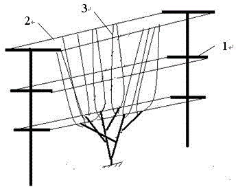 Grape cultivating method enabling grapes to be mature for six times