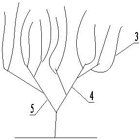 Grape cultivating method enabling grapes to be mature for six times