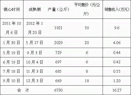 Grape cultivating method enabling grapes to be mature for six times