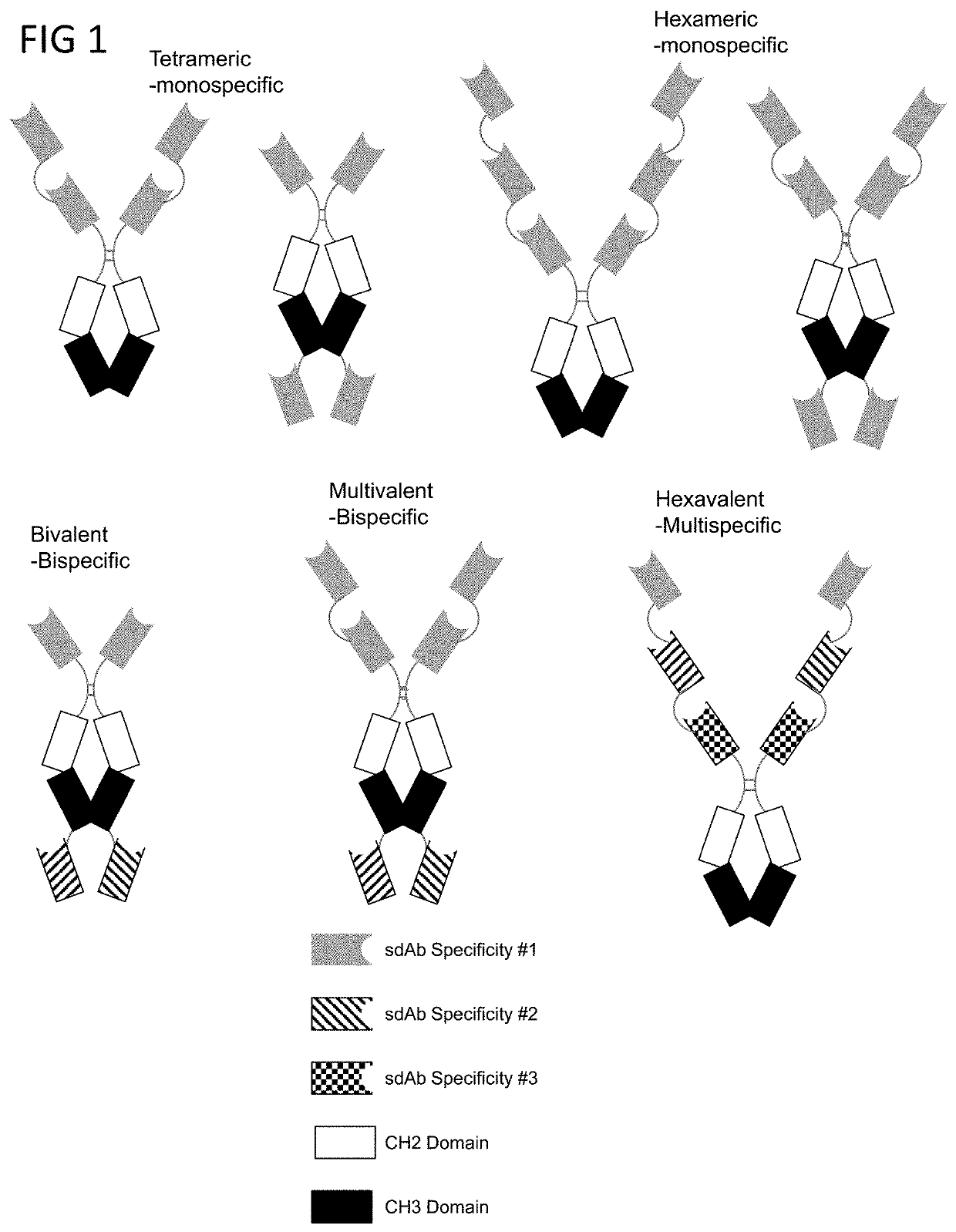 Multivalent and Multispecific OX40-Binding Fusion Proteins