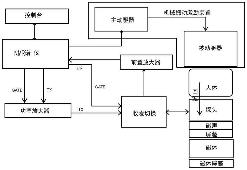 A portable NMR organ elasticity non-invasive quantitative detection system