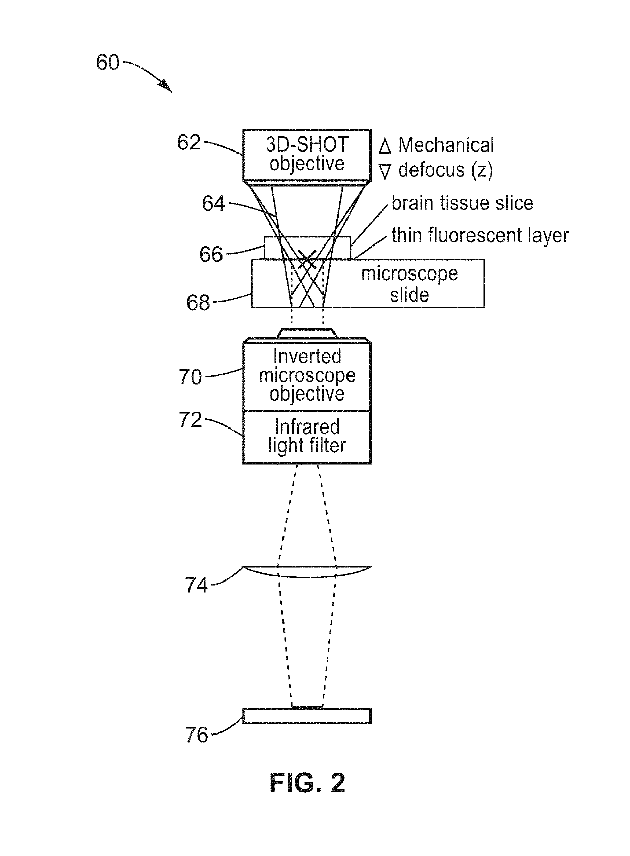 Three-dimensional scanless holographic optogenetics with temporal focusing