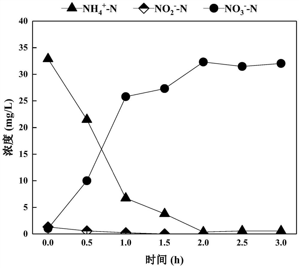 Method for rapidly starting and stably maintaining normal-temperature short-cut nitrification of municipal sewage by using phenacetin