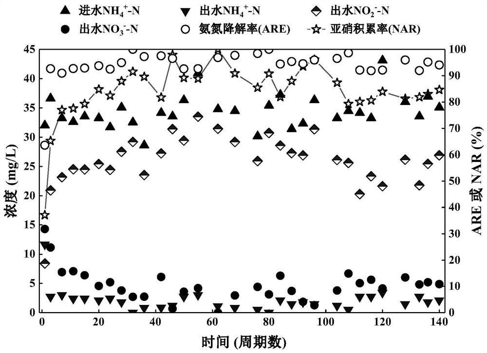 Method for rapidly starting and stably maintaining normal-temperature short-cut nitrification of municipal sewage by using phenacetin