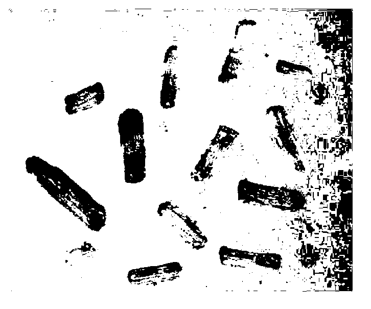 Wood powder edge detection algorithm based on target extraction and improved morphological operator