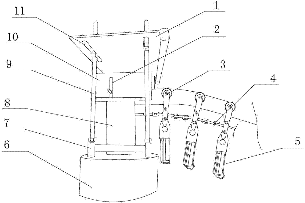 Glandular stomach cutting mechanism