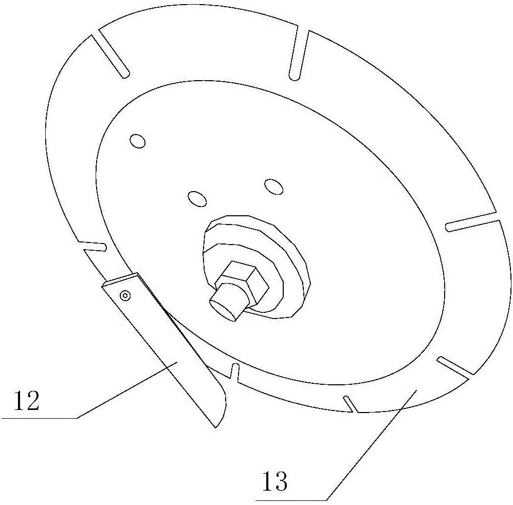 Glandular stomach cutting mechanism