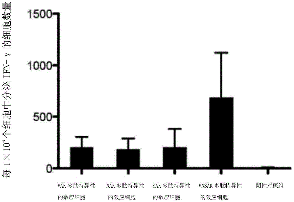 vnsak polypeptide and its application