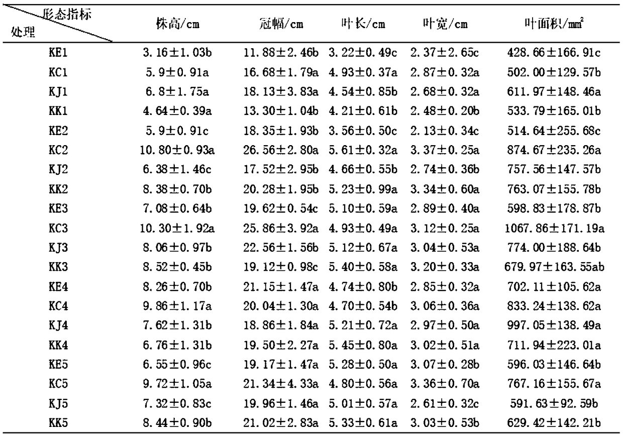 Preparation method of culture medium and fermentation determination method of culture medium