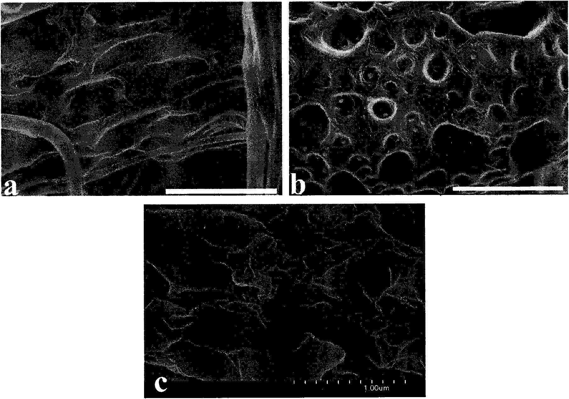 Preparation of porosity electrospun fiber