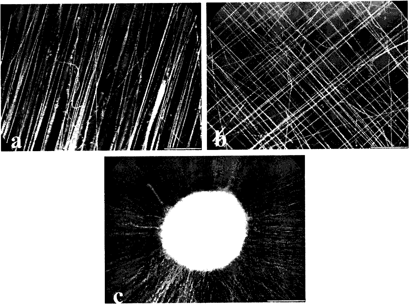 Preparation of porosity electrospun fiber