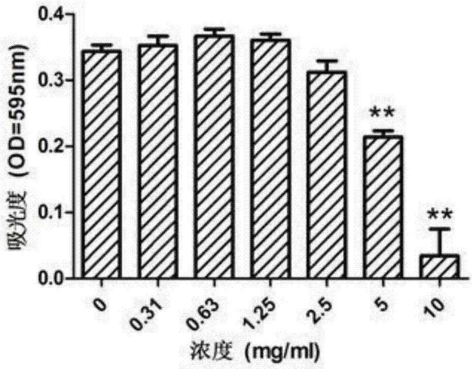 Extract of edible fungus roots and mouth wash prepared by using extract