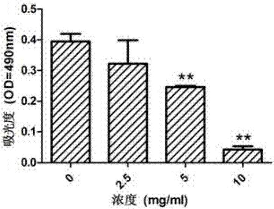 Extract of edible fungus roots and mouth wash prepared by using extract