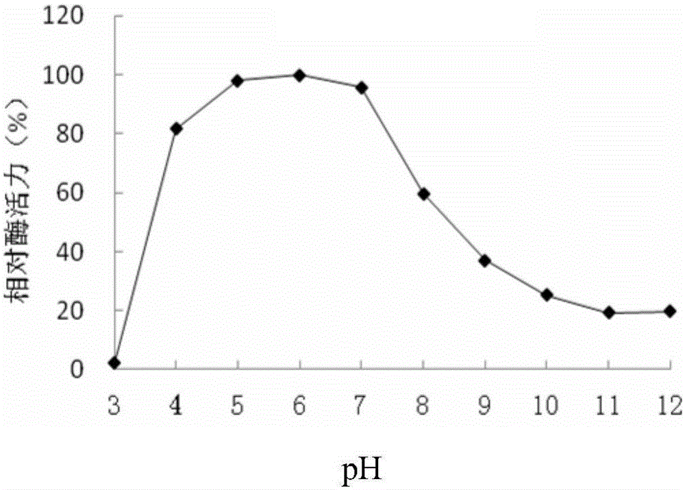 Acidic cellulose from fungus and gene and application thereof