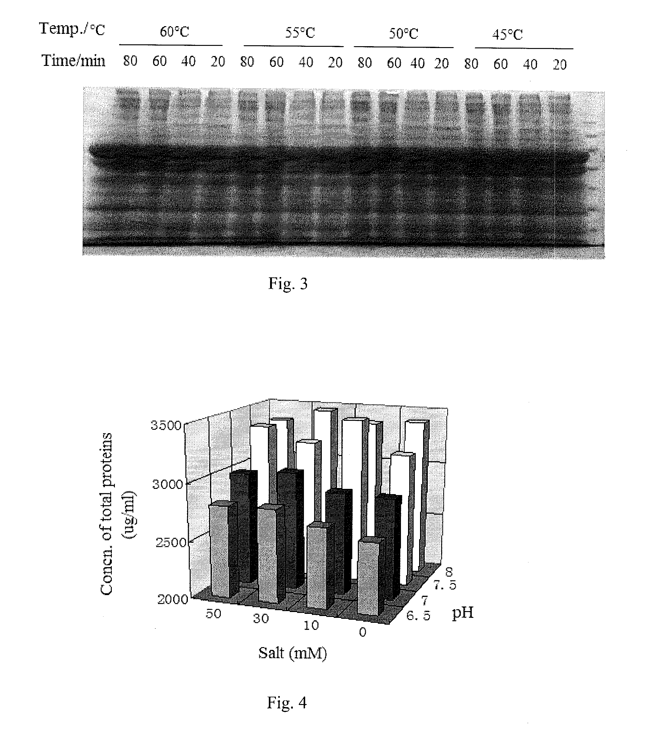 Method for extracting recombinant human serum albumin from transgenic rice grain