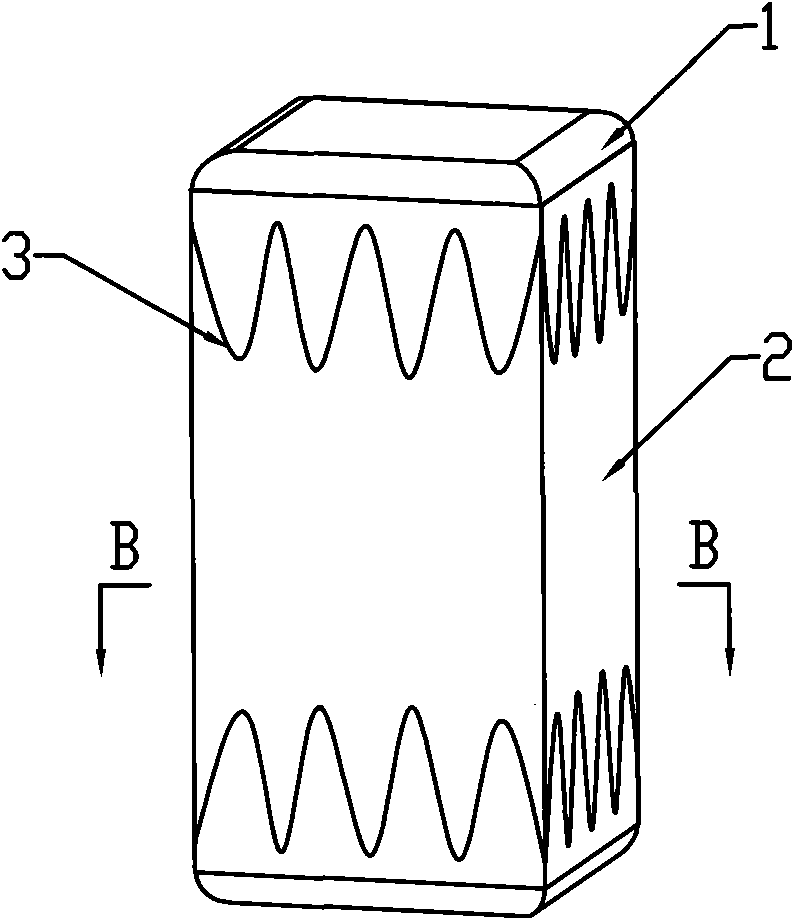 Heat transfer plug and production process thereof