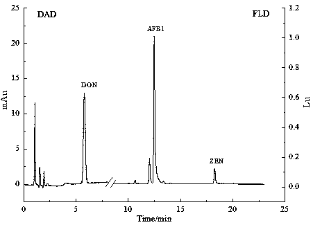 Method for simultaneously detecting multiple fungal toxins in wheat