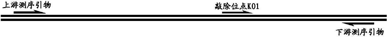 Method for quickly and simply screening CRISPR/Cas gene editing positive object