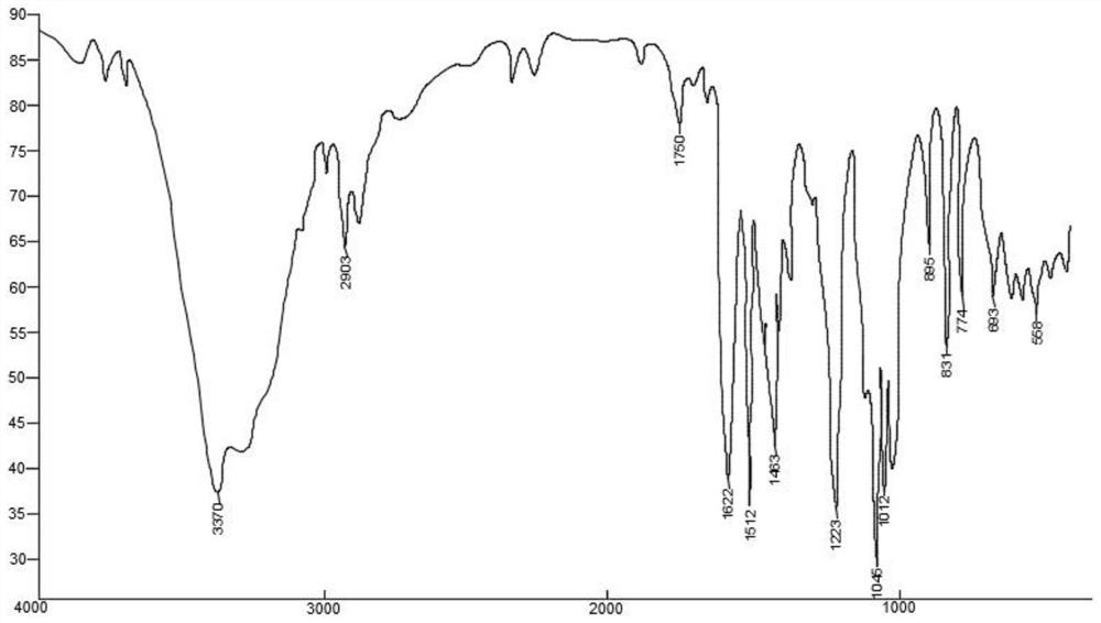 Arbutin-carbamide eutectic crystal as well as preparation method, preparation and application thereof