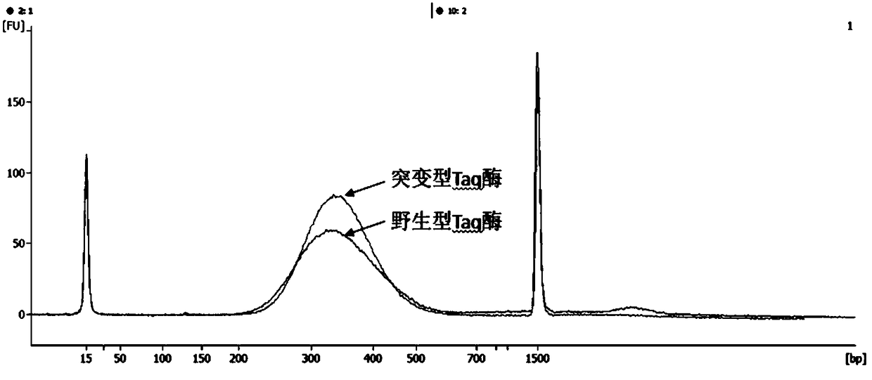 A mutant taq enzyme capable of improving the efficiency of adding a and its preparation method and application