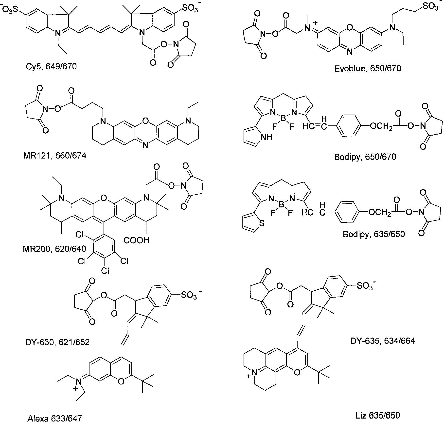 Fluorochrome for marking oligonucleotide and protein, method for preparing same and use