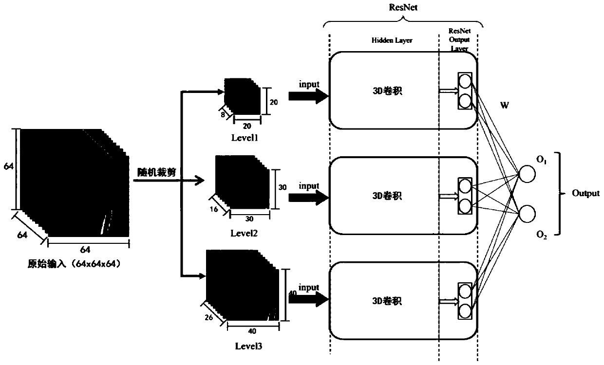 Pulmonary nodule morphological classification method based on neural network