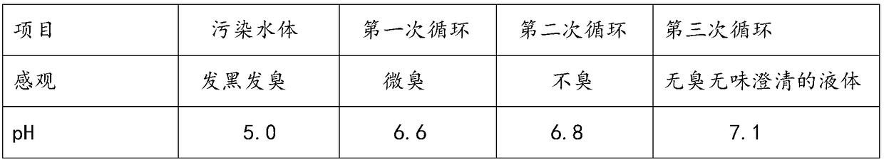 Plasma denitrification device and use method thereof