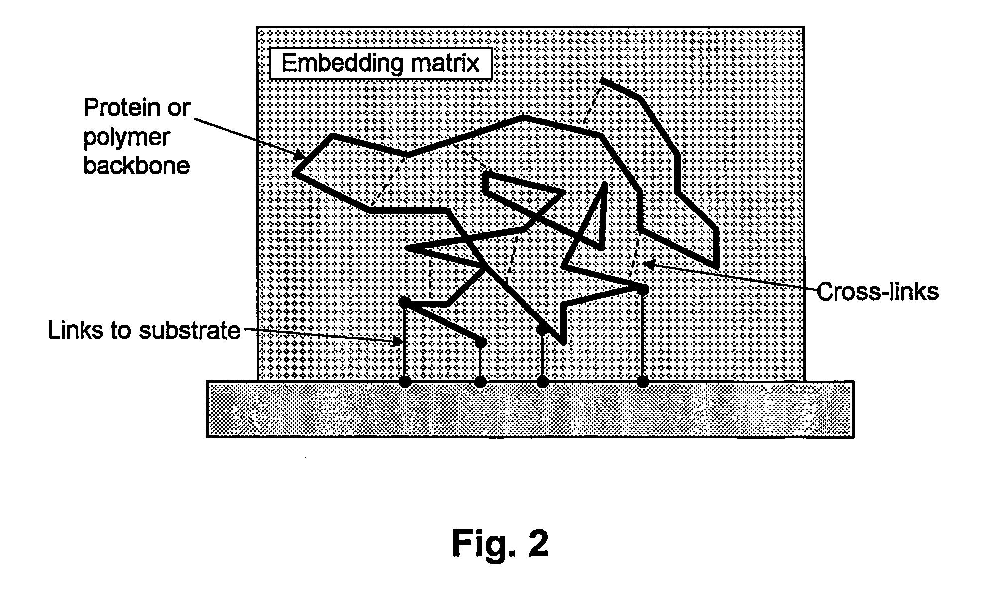 Method to determine 3-d elemental composition and structure of biological and organic materials via atom probe microscopy