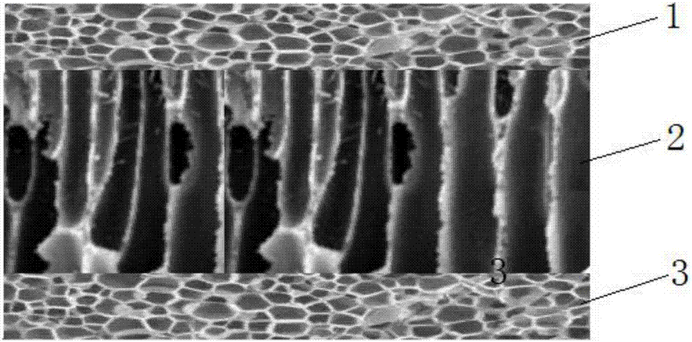 Preparation method of lithium battery diaphragm, lithium battery diaphragm and lithium ion battery