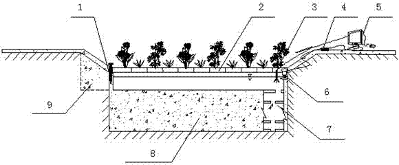 Environment-friendly barrage and water body purification method