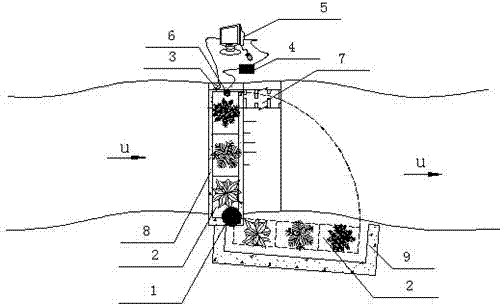 Environment-friendly barrage and water body purification method