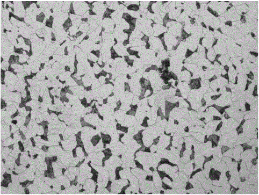 Marked watershed segmentation-based steel grain boundary automatic extraction method