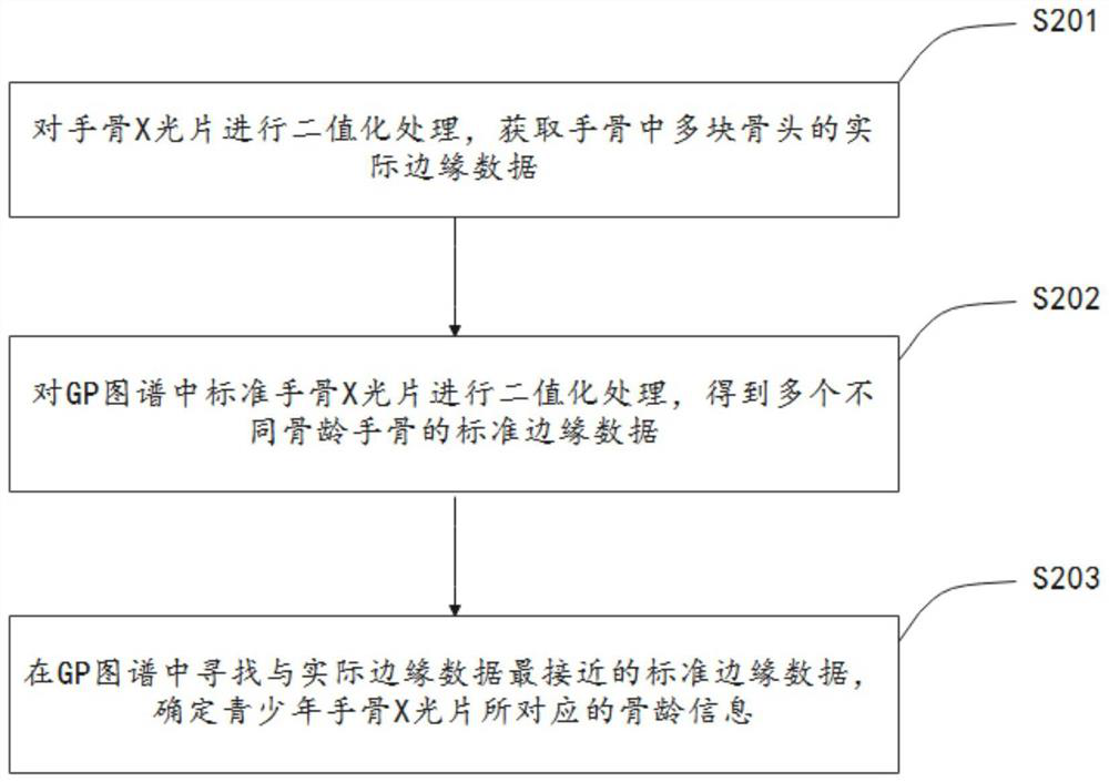 Teenager bone age data management method and abnormity early warning method based on big data