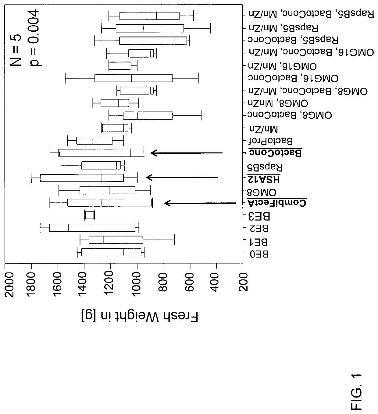 Fungal strain of the genus <i>Trichoderma </i>and method for promoting plant growth