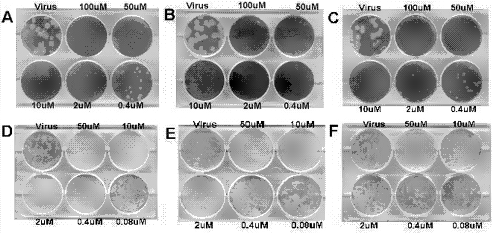 Cyclohexene derivative or pharmaceutically acceptable salt thereof and application of cyclohexene derivative and salt