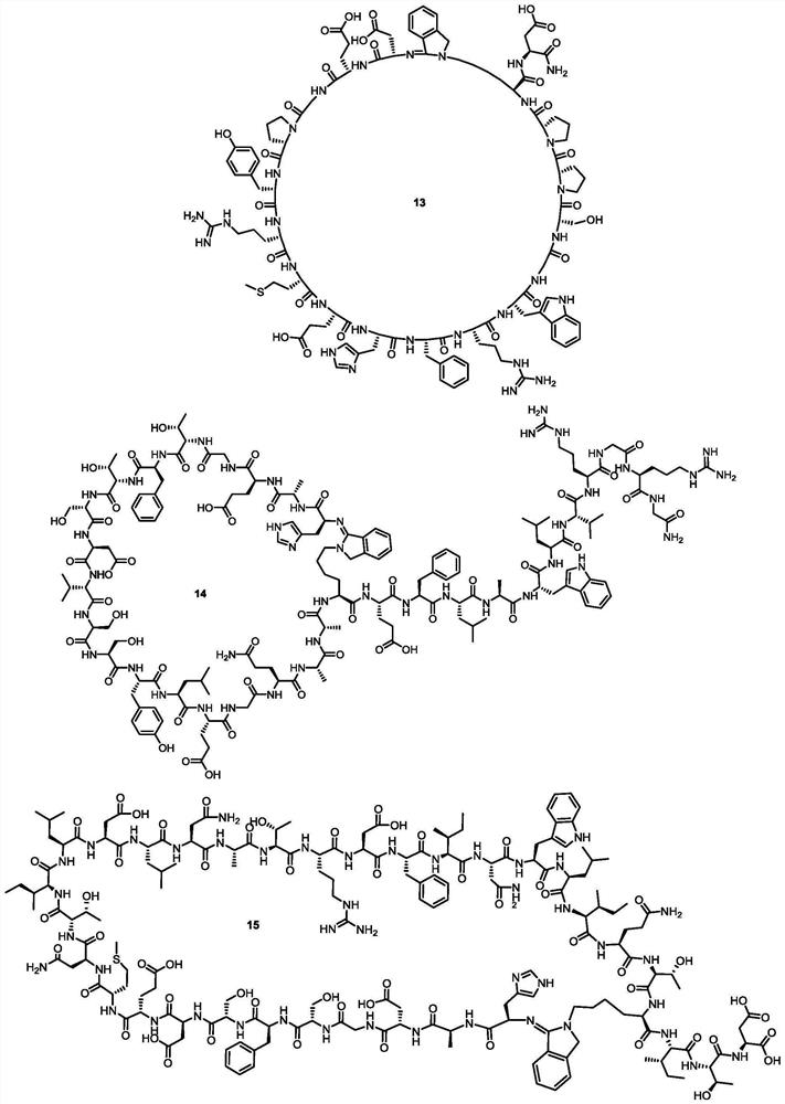 Cyclic peptide compound as well as preparation method and application thereof