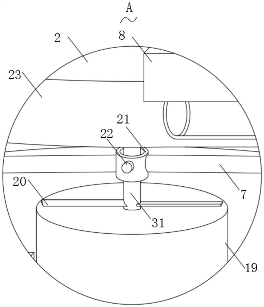 Grain counting machine with screening function for nut packaging machine