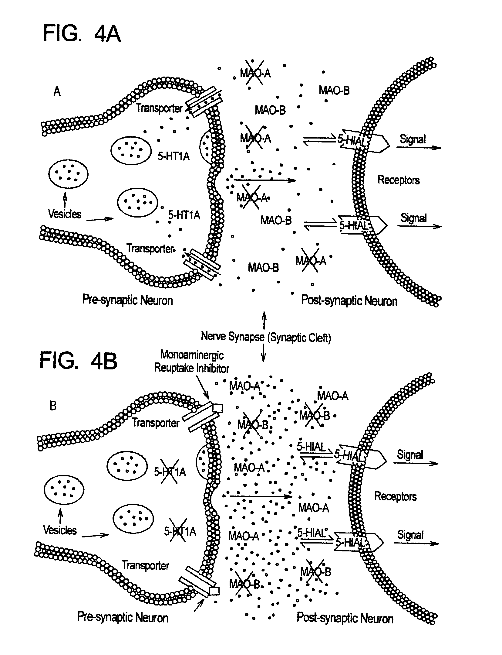 Method for treatment of neurologic dysfunction