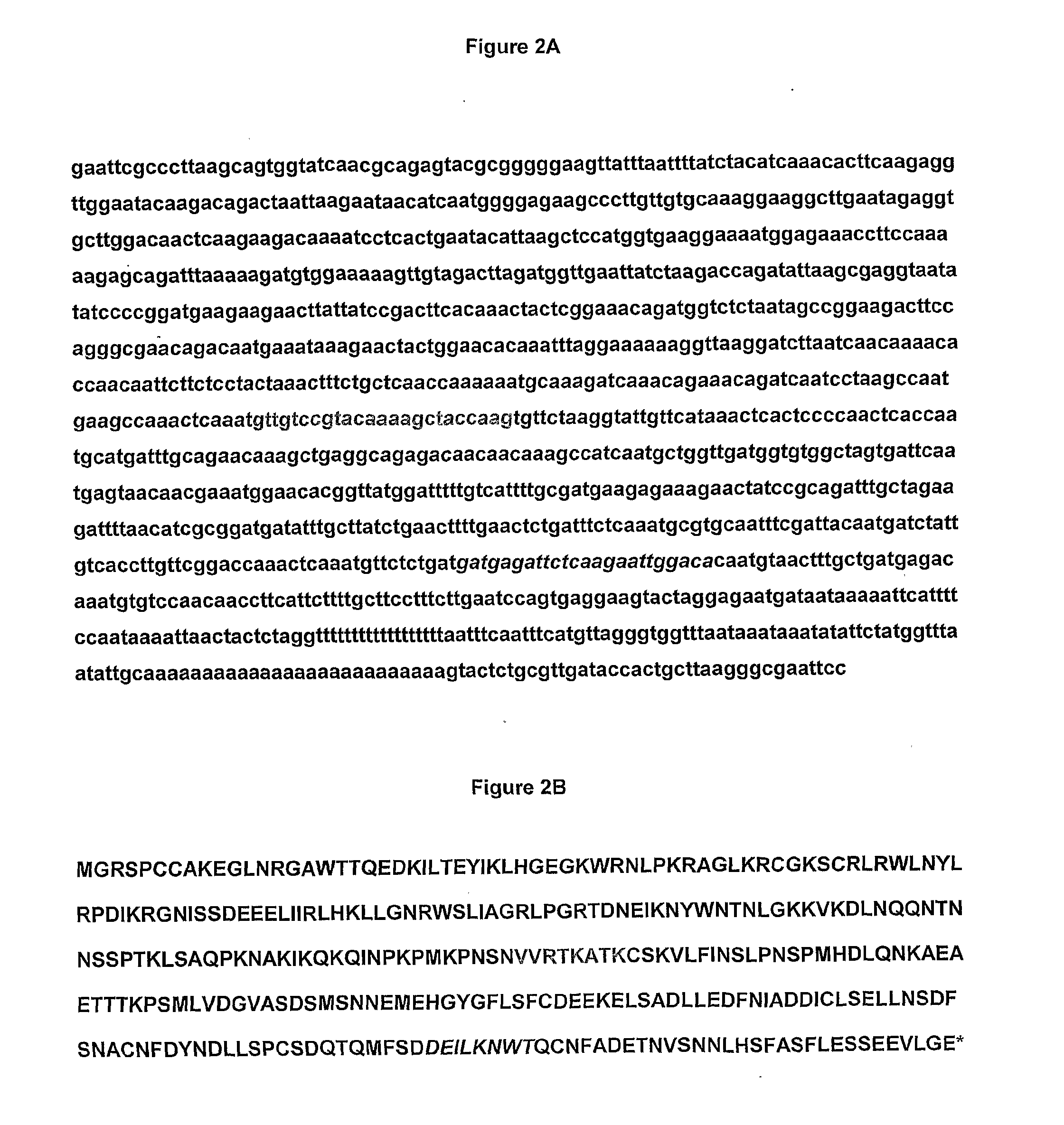 Novel genes involved in biosynthesis