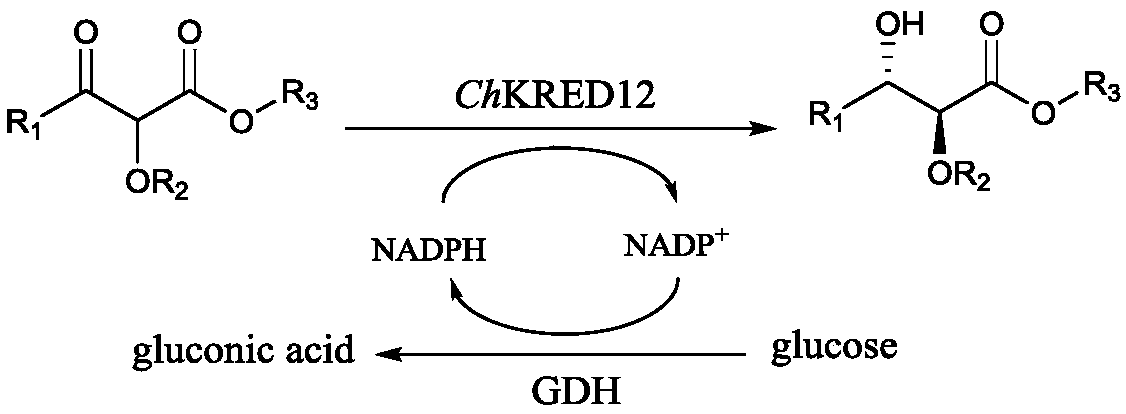 Production of chiral 1,2-diol compounds by biocatalysis of carbonyl reductase