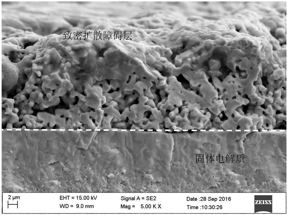 Spin coating preparation method for dense diffusion barrier layer of limiting current type oxygen sensor