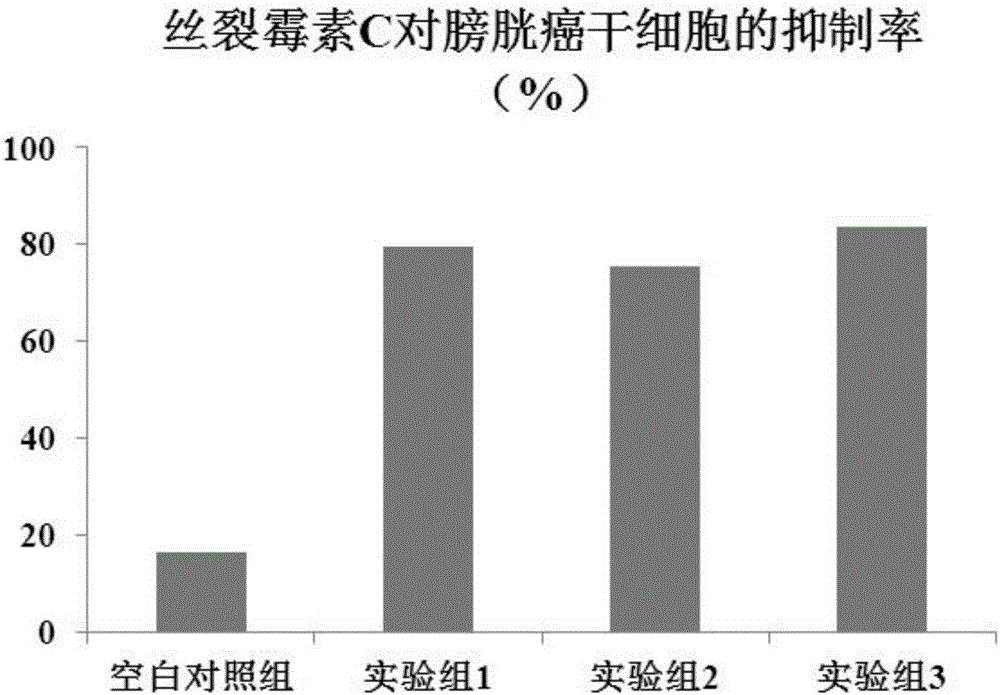 YAP1 gene and application of inhibitor in enhancing chemosensitivity of stem cell of bladder cancer