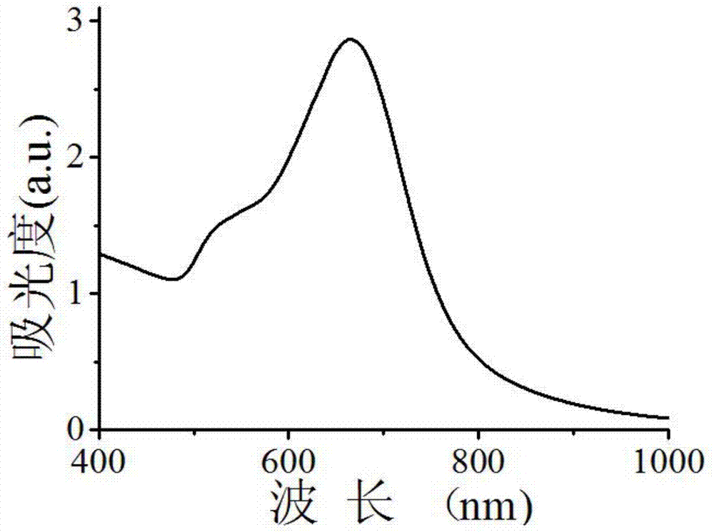 Method for cell imaging by adopting polarized light microscope to observe nano particles