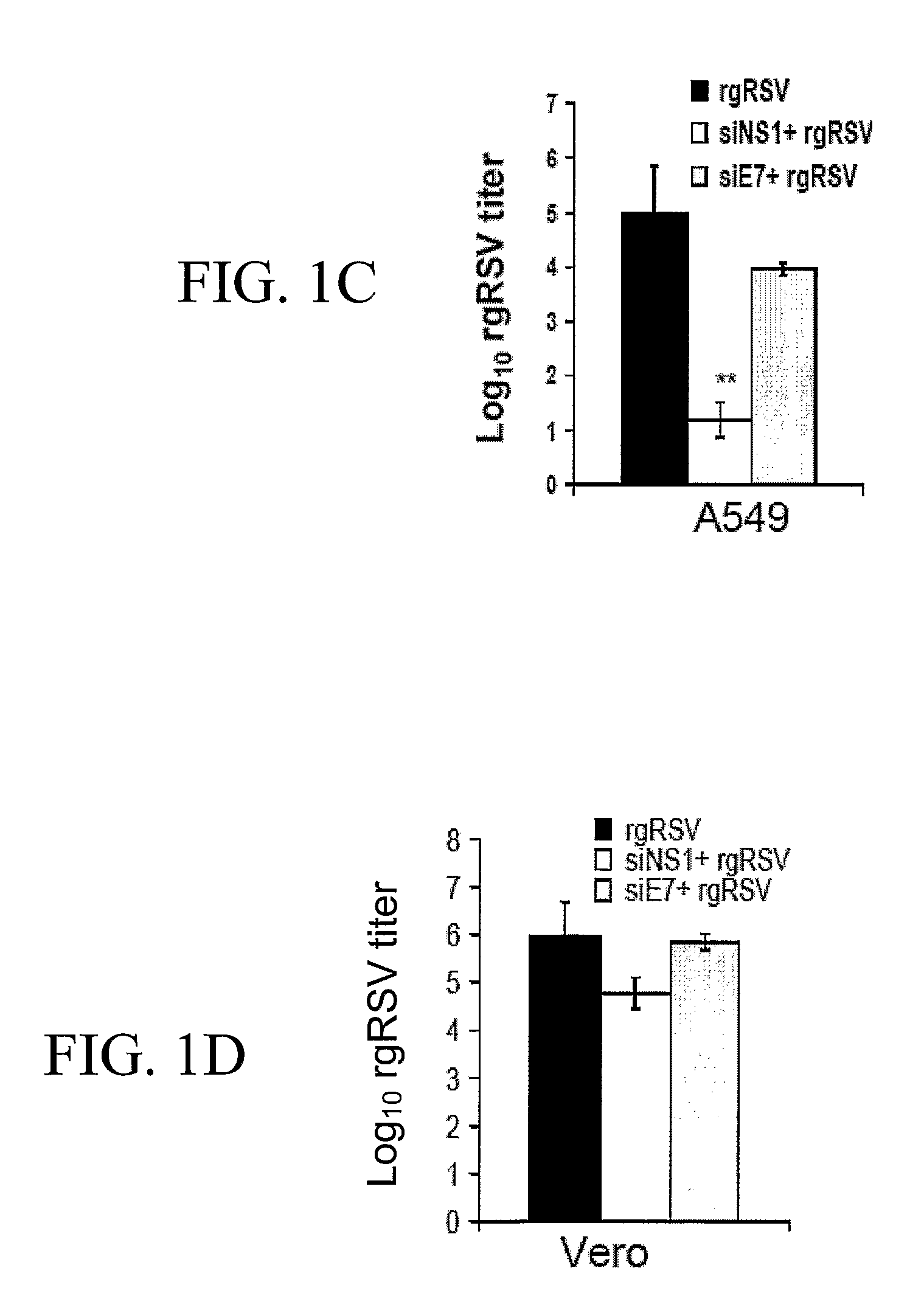 Polynucleotides for Reducing Respiratory Syncytial Virus Gene Expression